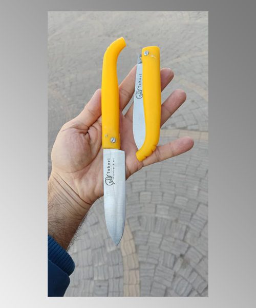 چاقوی تاشوی طاهری