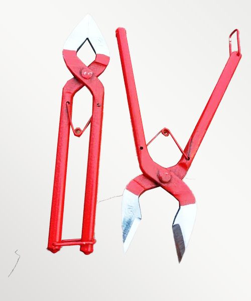 قیچی قندشکن