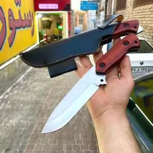 بوشکرفت حرفه ای