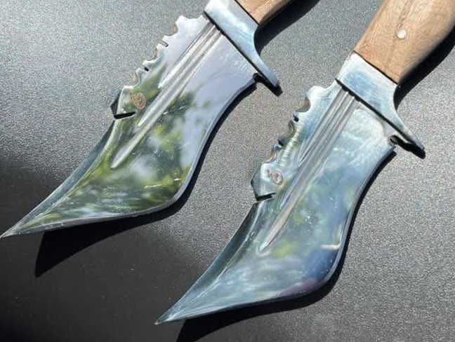 تیزی گنجشکی 2 تیزی گنجشکی