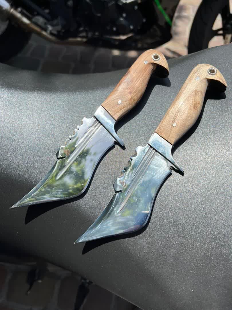 تیزی گنجشکی 1 تیزی گنجشکی