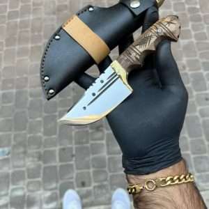 تیزی استاد تاران