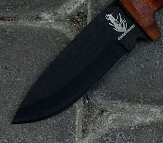 بوشکرفت زنجانی 2 بوشکرفت زنجانی