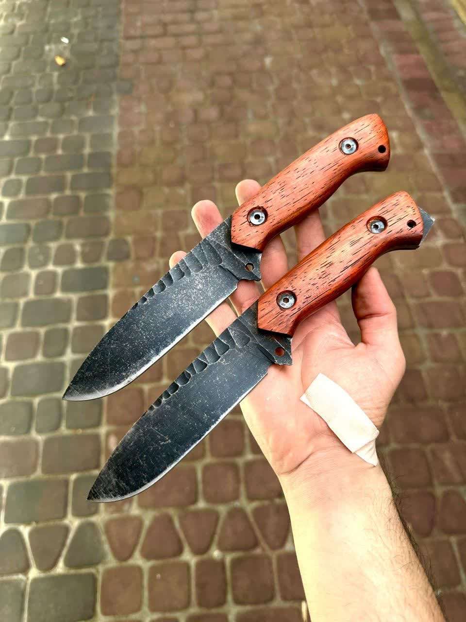 بوشکرفت زنبوری 1 بوشکرفت زنبوری