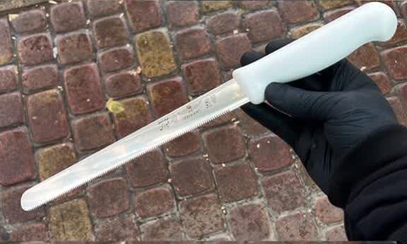 کارد اره ای بگت بر 25 سانتی 1 کارد اره ای باگت بر 25 سانتی