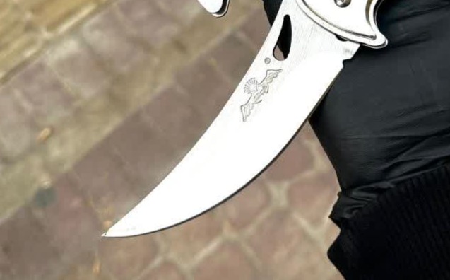 چاقوی فشاری عقاب طرح جدید 3 چاقوی فشاری عقاب طرح جدید