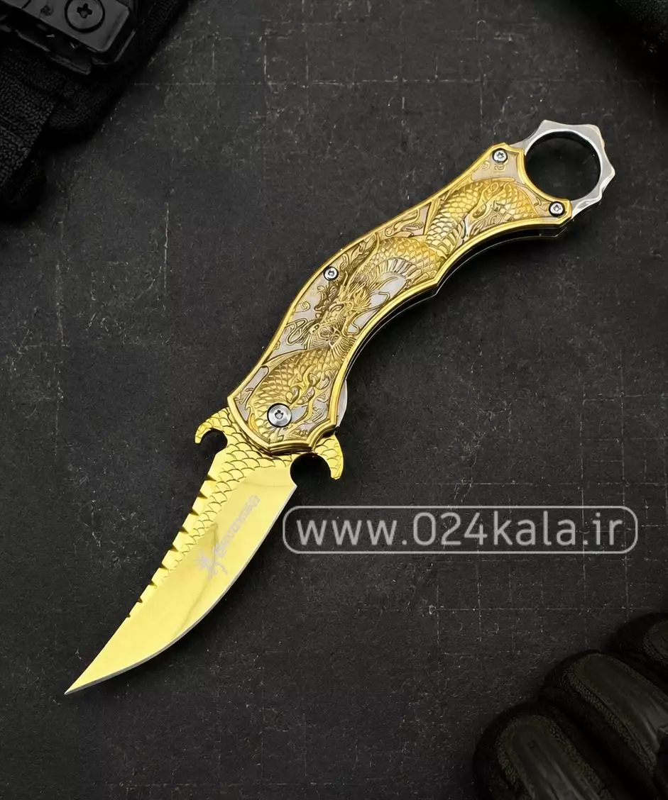 کارامبیت اژدها طرح جدید 1 کارامبیت اژدها طرح جدید