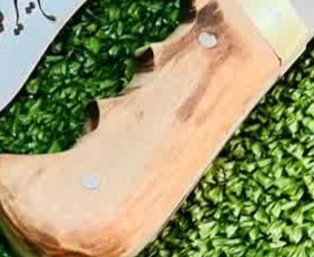 تیزی TZ-120 2 تیزی TZ-120