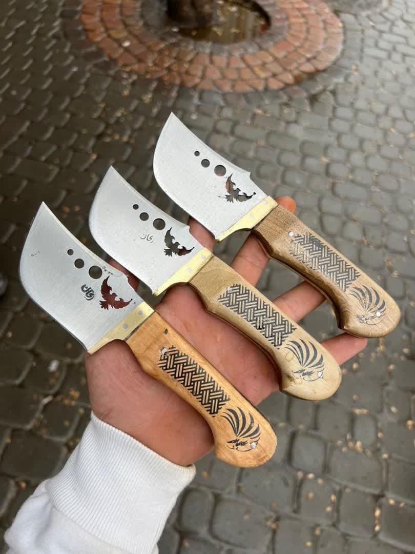 تیزی شاهین 1 تیزی شاهین