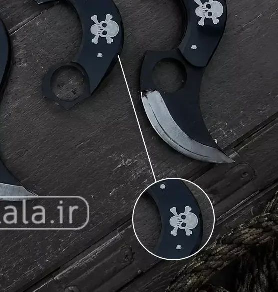 کارامبیت اسکلتی 2 کارامبیت اسکلتی