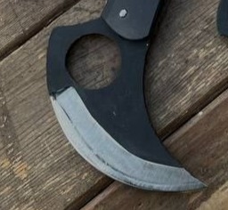 کارامبیت اسکلتی 2 کارامبیت اسکلتی