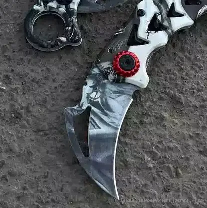 کارامبیت تاشو مانتیس X64 3 کارامبیت تاشو مانتیس X64