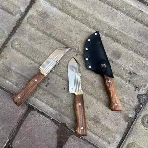 تیزی استاد رستمی