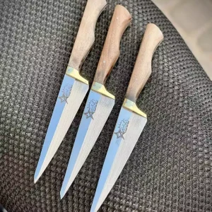 چاقوی بیخسی ستاره