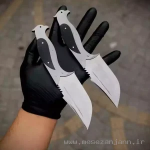 تیزی کمری پرستو