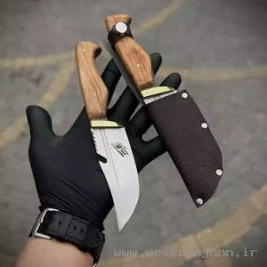 تیزی فولادیس