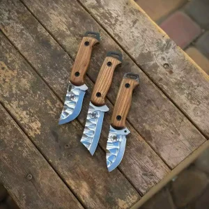 تیزی زنبوری