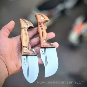 تیزی فولادی اسدی