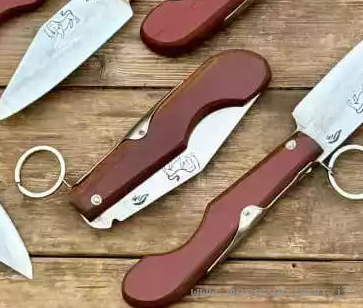 چاقوی بوکانی شیرنشان 3 چاقوی بوکانی شیرنشان