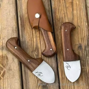 تیزی استاد محبی