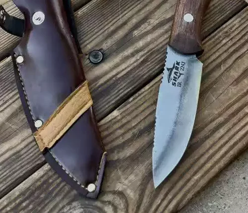 بوشکرفت شارک 2 بوشکرفت شارک