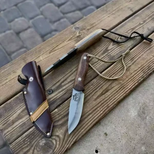 بوشکرفت شارک