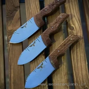 تیزی اهورا زنجانی