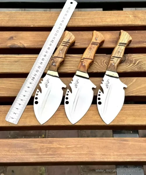 تیزی مدل سوسماری