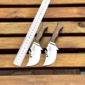 تیزی مدل سوسماری سایز کوچک